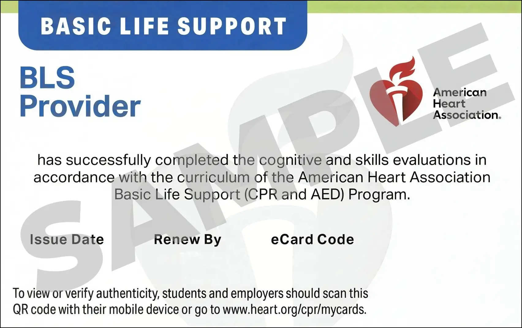 Sample American Heart Association AHA BLS CPR Card Certification from CPR Certification Los Angeles